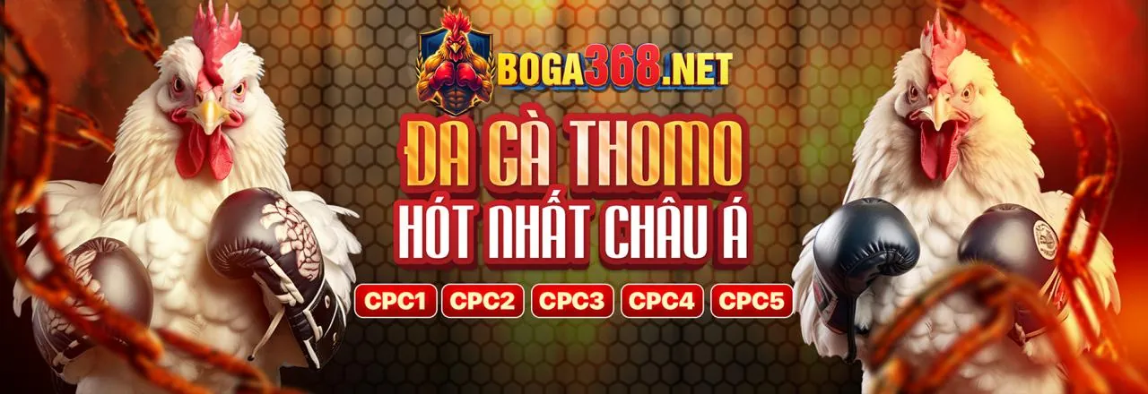 Đá gà trực tiếp tại i9bet141 website chính thức